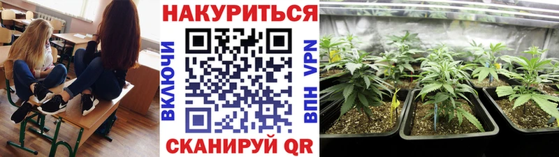 Цена Мезень MDMA Cocaine Амфетамин Бошки Шишки ТГК Мефедрон ГАШИШ Псилоцибиновые грибы