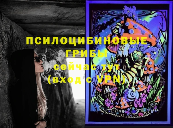 тгк Ладушкин